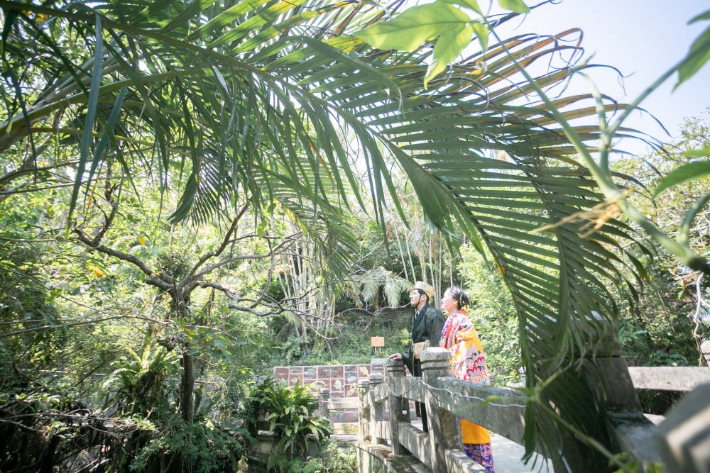 琉球村の植物を入れて撮影