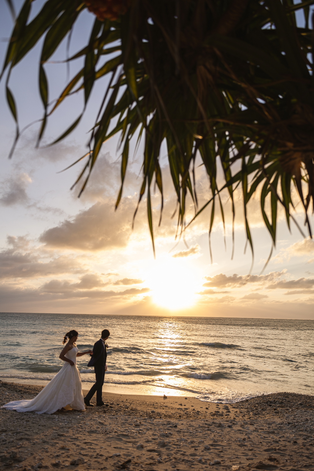 サンセットフォト